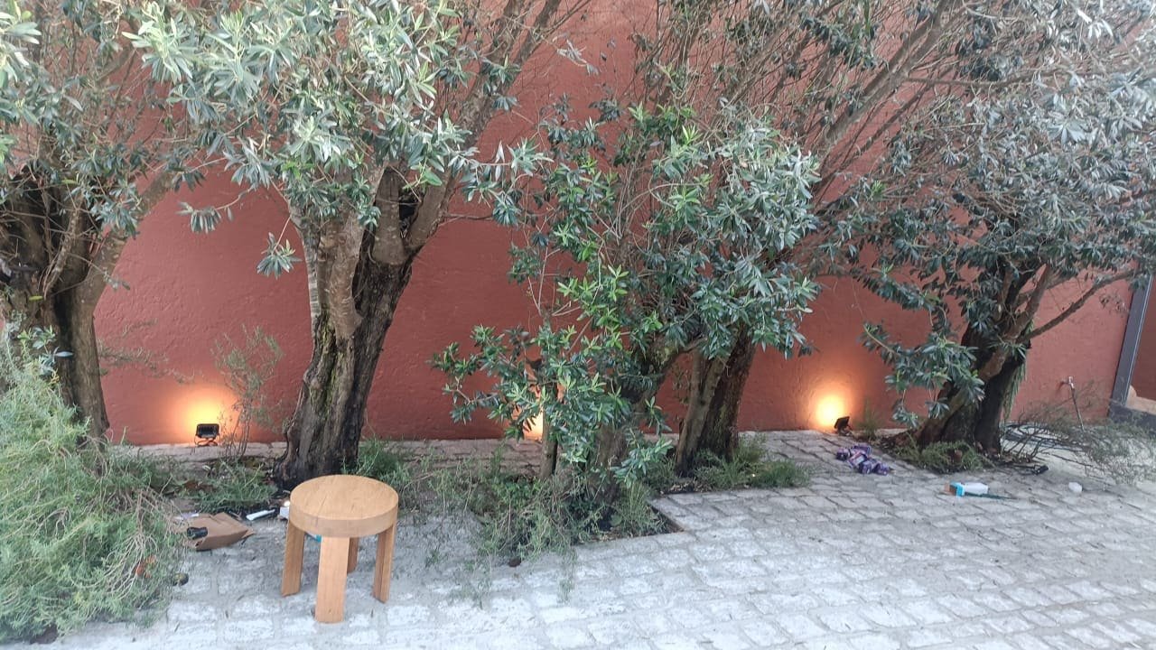 Tira de luz lineal empotrada al pie de un muro rojo, iluminando dos olivos